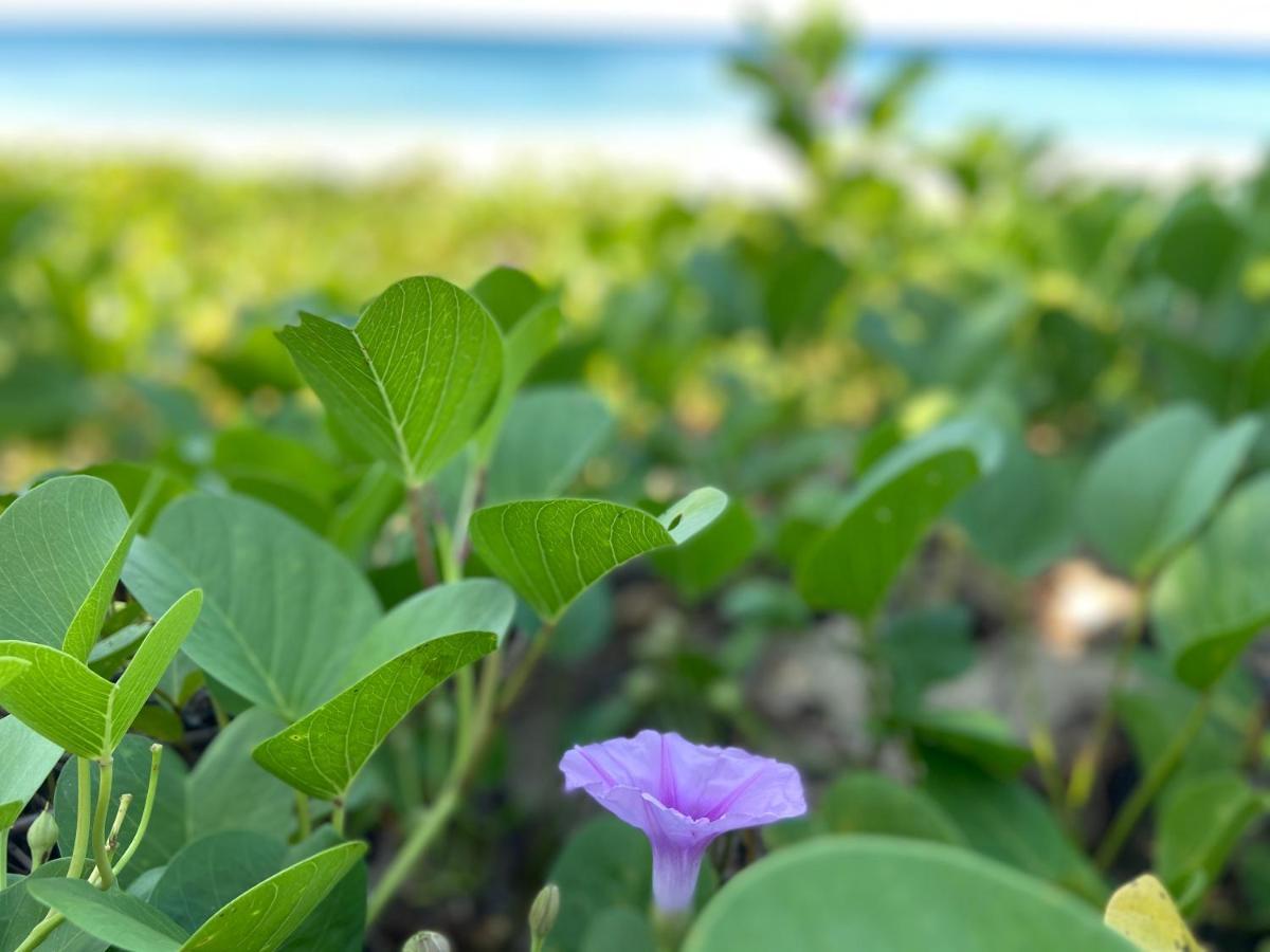 Lanta Smile Inn Ko Lanta Exteriér fotografie
